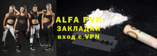 мдпв Инсар