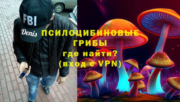 мдпв Инсар