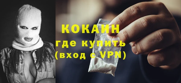 мдпв Инсар
