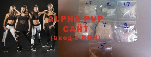 мдпв Инсар