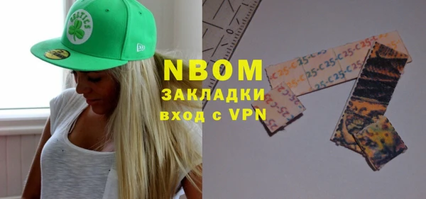 мдпв Инсар