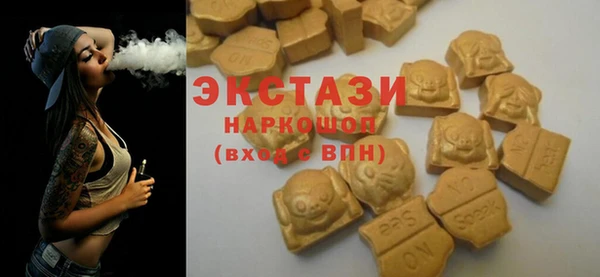 мдпв Инсар