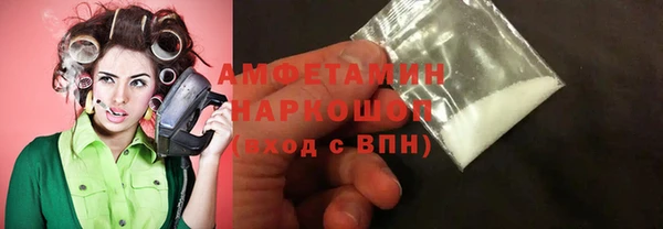 мдпв Инсар