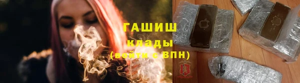 мдпв Инсар