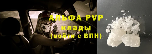 ГАЛЛЮЦИНОГЕННЫЕ ГРИБЫ Каменка