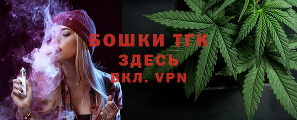 мдпв Инсар