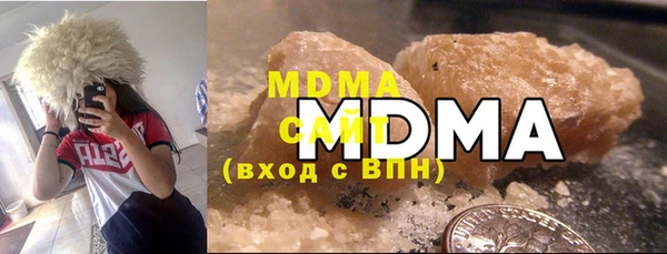 мдпв Инсар